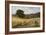 Harvest Time Near Holmbury Hill, Surrey-George Vicat Cole-Framed Giclee Print