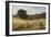 Harvest Time Near Holmbury Hill, Surrey-George Vicat Cole-Framed Giclee Print