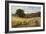 Harvest Time Near Holmbury Hill, Surrey-George Vicat Cole-Framed Giclee Print