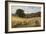 Harvest Time Near Holmbury Hill, Surrey-George Vicat Cole-Framed Giclee Print