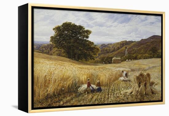 Harvest Time Near Holmbury Hill, Surrey-George Vicat Cole-Framed Premier Image Canvas