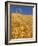 Harvest Time Wheat Crop, Palouse, Washington, USA-Terry Eggers-Framed Photographic Print
