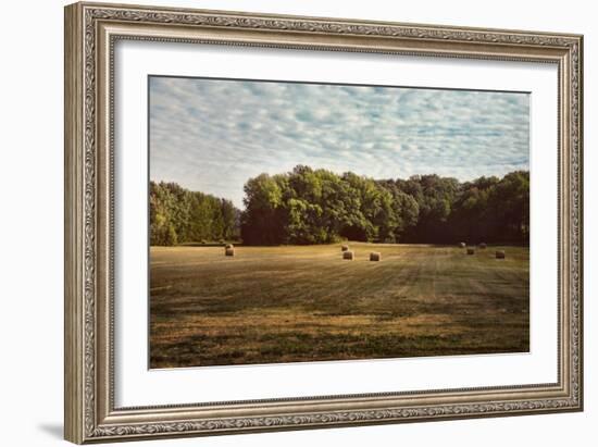 Harvest Time-Jai Johnson-Framed Giclee Print