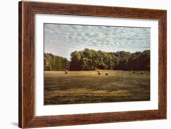 Harvest Time-Jai Johnson-Framed Giclee Print