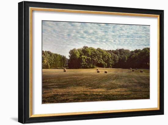 Harvest Time-Jai Johnson-Framed Giclee Print