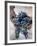 Harvest Worker Holding Malbec Wine Grapes, Mendoza, Argentina, South America-Yadid Levy-Framed Photographic Print