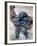 Harvest Worker Holding Malbec Wine Grapes, Mendoza, Argentina, South America-Yadid Levy-Framed Photographic Print