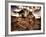 Harvest-Stephen Arens-Framed Photographic Print