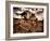 Harvest-Stephen Arens-Framed Photographic Print