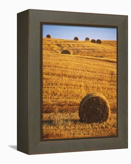 Harvested Fields of Hay-Jim Craigmyle-Framed Premier Image Canvas