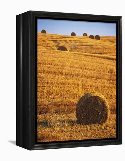 Harvested Fields of Hay-Jim Craigmyle-Framed Premier Image Canvas