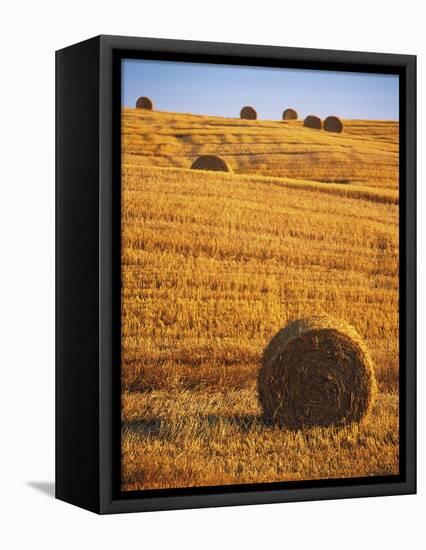 Harvested Fields of Hay-Jim Craigmyle-Framed Premier Image Canvas
