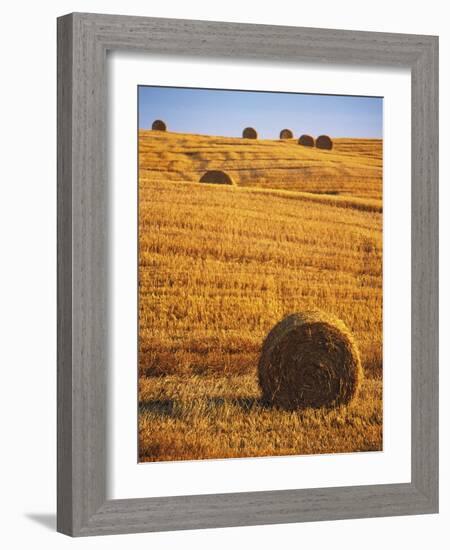 Harvested Fields of Hay-Jim Craigmyle-Framed Photographic Print