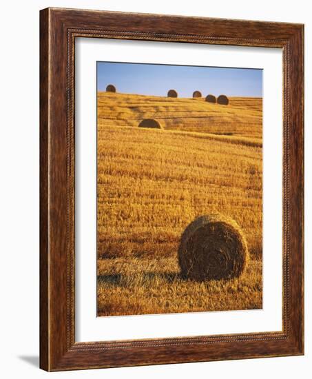 Harvested Fields of Hay-Jim Craigmyle-Framed Photographic Print