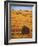 Harvested Fields of Hay-Jim Craigmyle-Framed Photographic Print