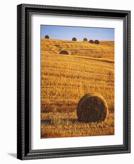 Harvested Fields of Hay-Jim Craigmyle-Framed Photographic Print