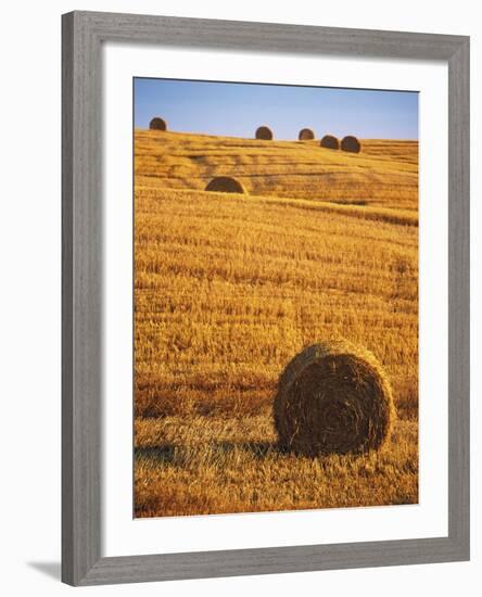 Harvested Fields of Hay-Jim Craigmyle-Framed Photographic Print