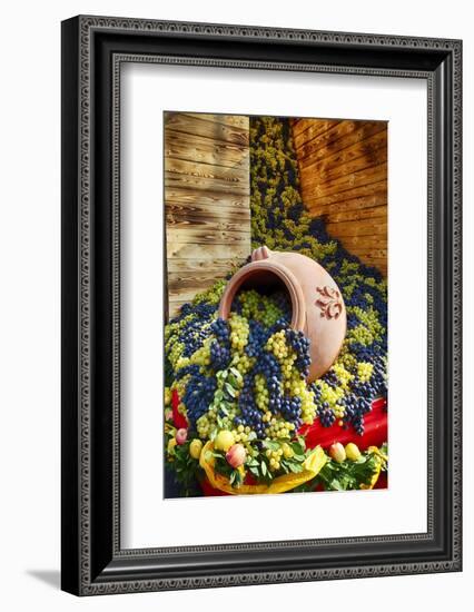 Harvested Fresh Grapes from the Tuscan Fields-Terry Eggers-Framed Photographic Print