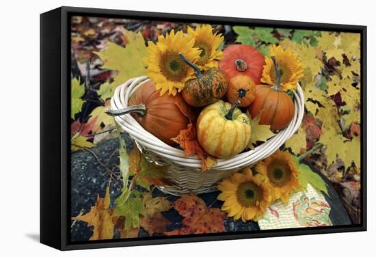 Harvested Pumpkins And Sunflowers-Erika Craddock-Framed Premier Image Canvas