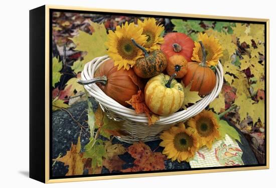 Harvested Pumpkins And Sunflowers-Erika Craddock-Framed Premier Image Canvas