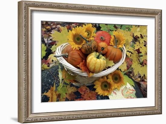 Harvested Pumpkins And Sunflowers-Erika Craddock-Framed Photographic Print