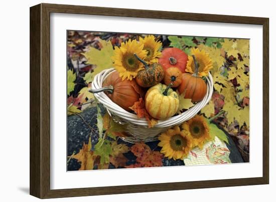 Harvested Pumpkins And Sunflowers-Erika Craddock-Framed Photographic Print