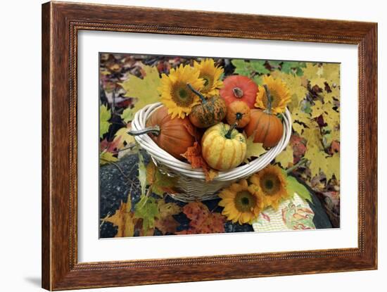 Harvested Pumpkins And Sunflowers-Erika Craddock-Framed Photographic Print