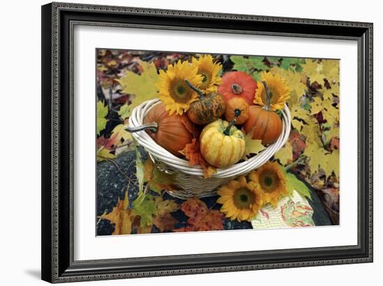 Harvested Pumpkins And Sunflowers-Erika Craddock-Framed Photographic Print