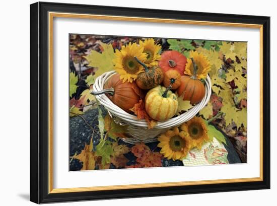 Harvested Pumpkins And Sunflowers-Erika Craddock-Framed Photographic Print