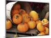 Harvested Pumpkins-Tony Craddock-Mounted Premium Photographic Print