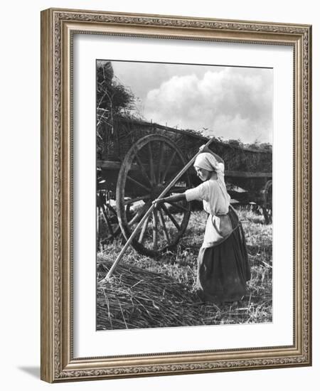 Harvester in Picardie, c.1900-Emile Frechon-Framed Photographic Print