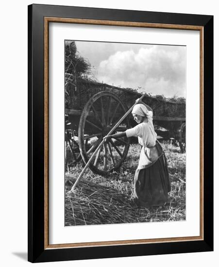 Harvester in Picardie, c.1900-Emile Frechon-Framed Photographic Print