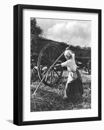 Harvester in Picardie, c.1900-Emile Frechon-Framed Photographic Print