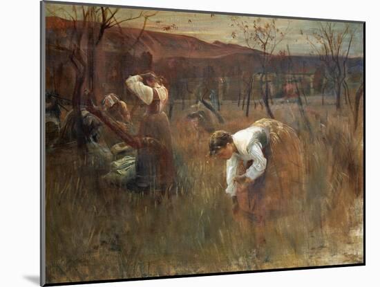 Harvesting Almonds, 1889-Alfredo Ricci-Mounted Giclee Print