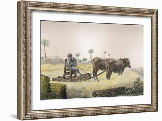 Harvesting Corn, Vol.Ii Arts and Trades of Description of Egypt, Pub., 1822-Nicolas Jacques Conte-Framed Giclee Print