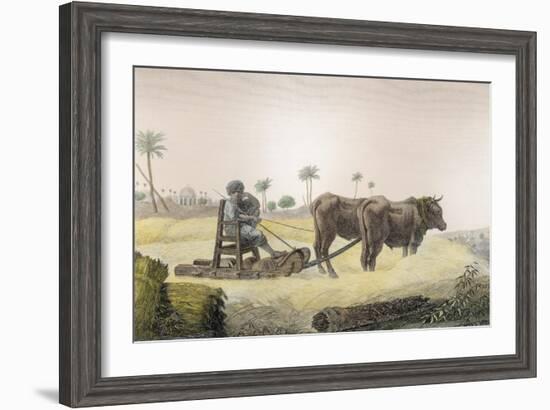 Harvesting Corn, Vol.Ii Arts and Trades of Description of Egypt, Pub., 1822-Nicolas Jacques Conte-Framed Giclee Print