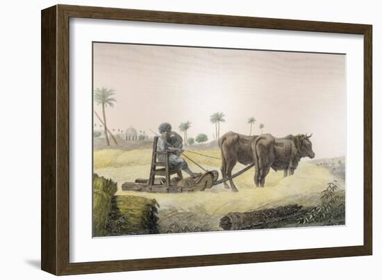 Harvesting Corn, Vol.Ii Arts and Trades of Description of Egypt, Pub., 1822-Nicolas Jacques Conte-Framed Giclee Print