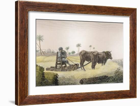 Harvesting Corn, Vol.Ii Arts and Trades of Description of Egypt, Pub., 1822-Nicolas Jacques Conte-Framed Giclee Print