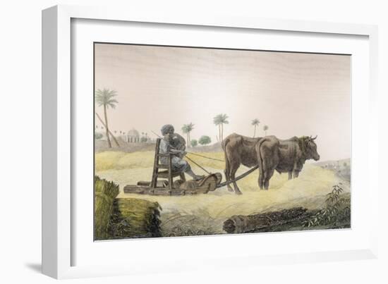 Harvesting Corn, Vol.Ii Arts and Trades of Description of Egypt, Pub., 1822-Nicolas Jacques Conte-Framed Giclee Print