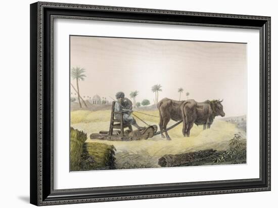 Harvesting Corn, Vol.Ii Arts and Trades of Description of Egypt, Pub., 1822-Nicolas Jacques Conte-Framed Giclee Print