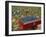 Harvesting Grapes in a Vineyard in the Rhone Valley, Rhone Alpes, France-Michael Busselle-Framed Photographic Print