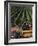 Harvesting Grapes, St. Emilion Area, Aquitaine, France-Adam Woolfitt-Framed Photographic Print