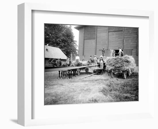 Harvesting Hay, Circa 1909-Asahel Curtis-Framed Giclee Print