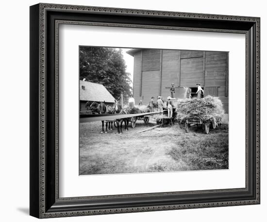 Harvesting Hay, Circa 1909-Asahel Curtis-Framed Giclee Print