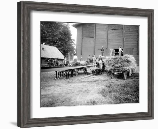 Harvesting Hay, Circa 1909-Asahel Curtis-Framed Giclee Print