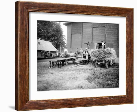 Harvesting Hay, Circa 1909-Asahel Curtis-Framed Giclee Print