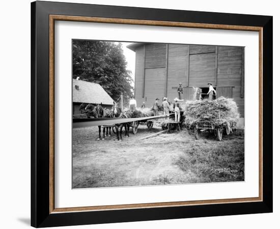 Harvesting Hay, Circa 1909-Asahel Curtis-Framed Giclee Print