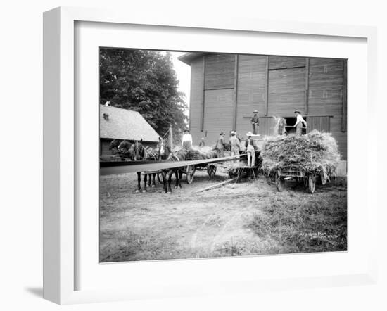 Harvesting Hay, Circa 1909-Asahel Curtis-Framed Giclee Print