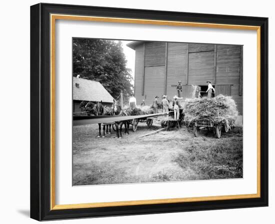 Harvesting Hay, Circa 1909-Asahel Curtis-Framed Giclee Print