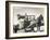 Harvesting in Sussex with a Shire Horse and Cart-null-Framed Photographic Print